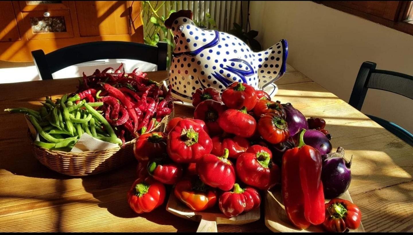 Il Giardino Di Frafa Lejlighed Quartu Sant'Elena Eksteriør billede